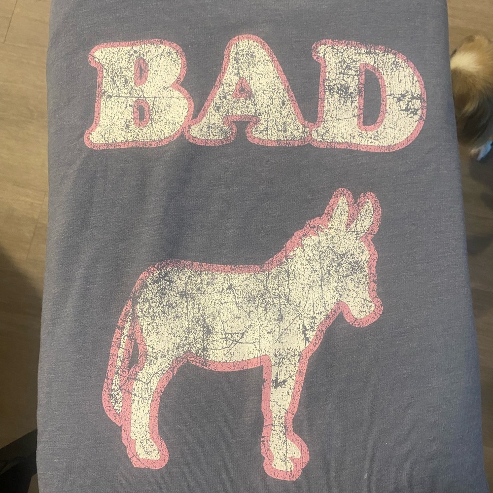 Recycled Karma SUPER SOFT & COMFY BAD 🫏 Sweatshirt. Nwot. Oversized.